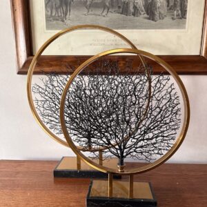 Tree of life