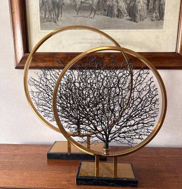Tree of life